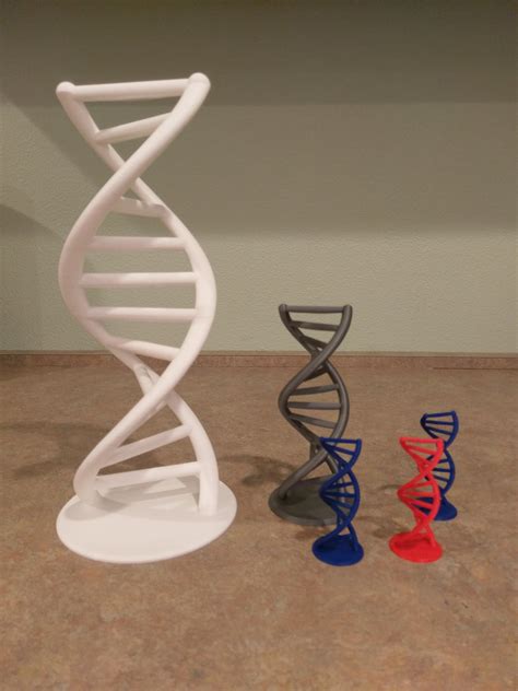 dna 3d print|dna helix 3d model.